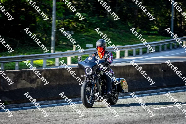 IMG_1205-2