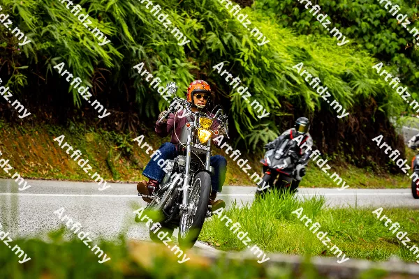 IMG_0004-3