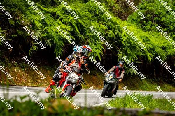 IMG_0265-5