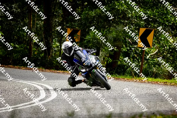 IMG_0375-4