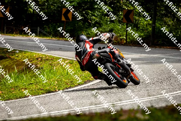 IMG_0446-5