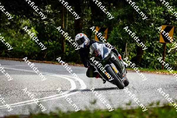 IMG_0558-5