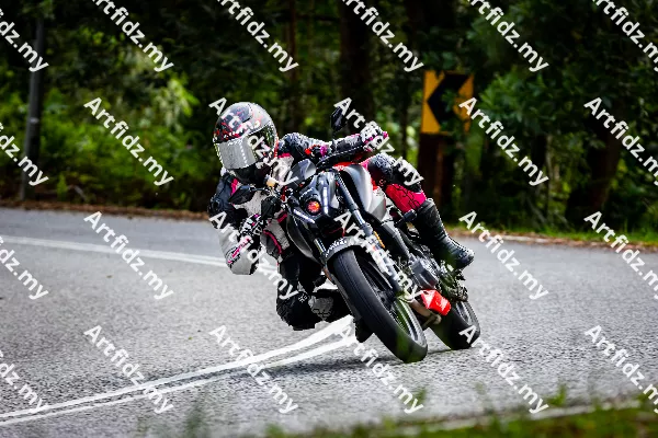 IMG_0710-2
