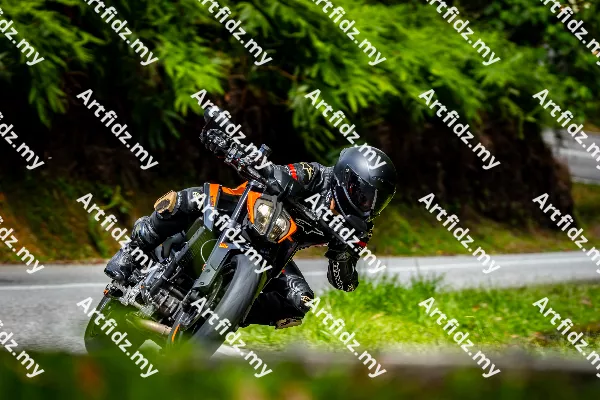 IMG_0762-2