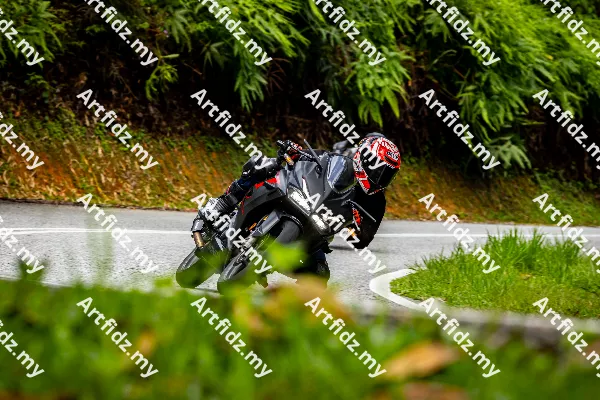 IMG_0833-3