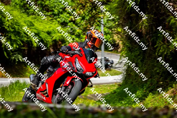 IMG_0913-4