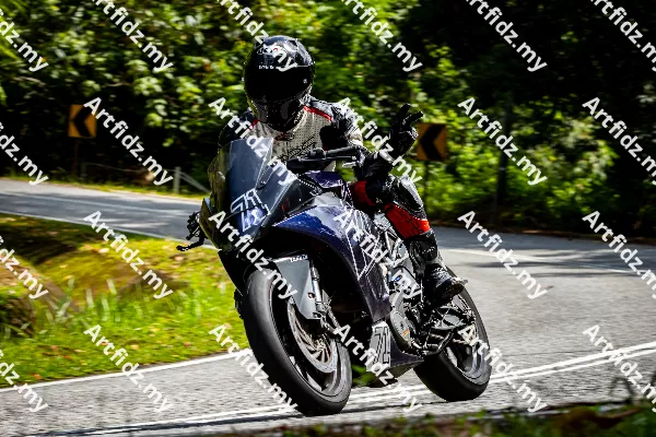 IMG_0951-4