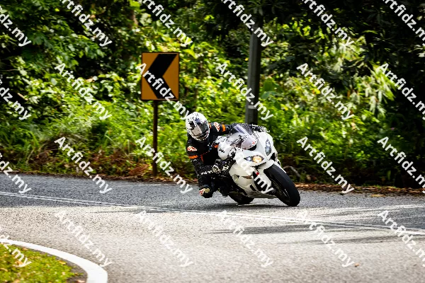 IMG_0986-3