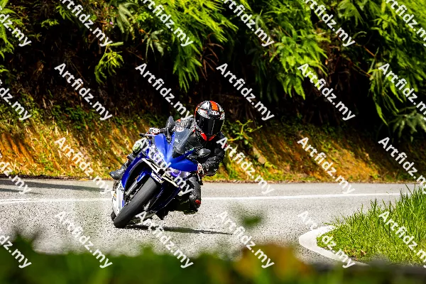 IMG_1038-3