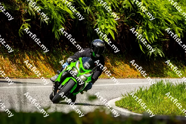 IMG_1121-5