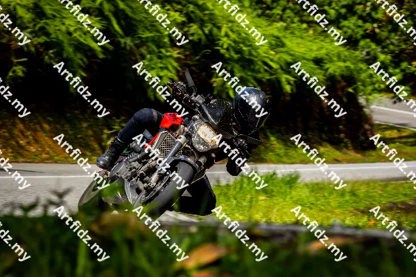 IMG_1197-4