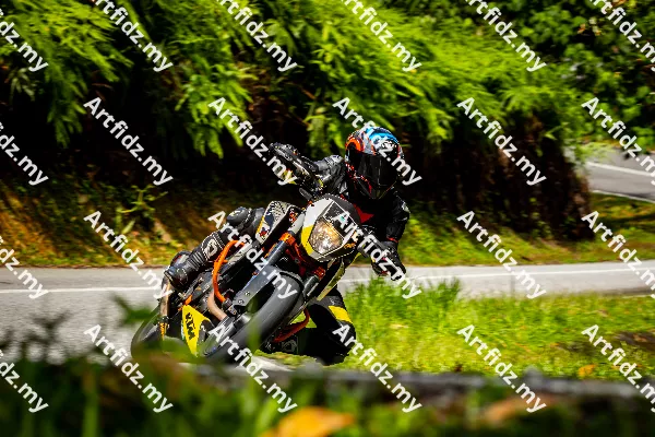 IMG_1202-6