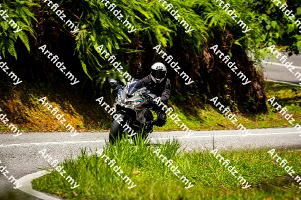 IMG_1205-3