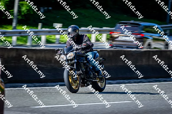 IMG_1286-3