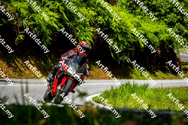 IMG_1387-3