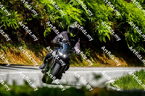 IMG_1480-5