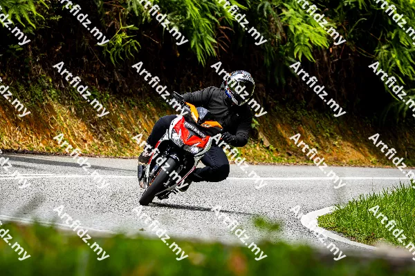 IMG_1530-3
