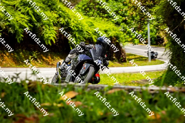 IMG_1542-6