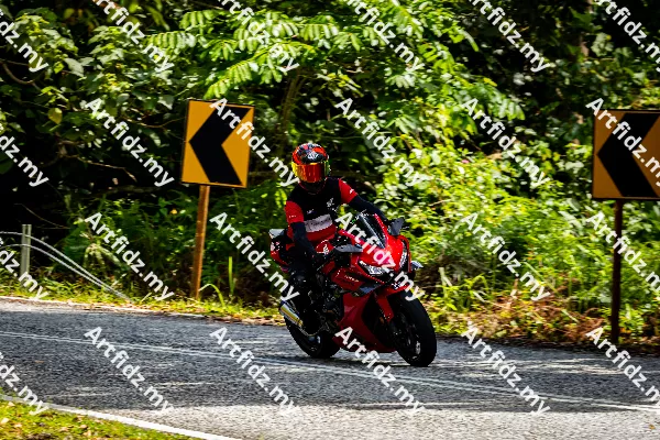 IMG_1739-4