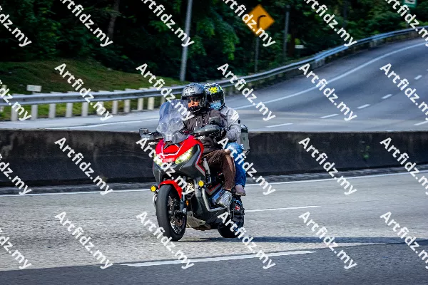 IMG_1262-4