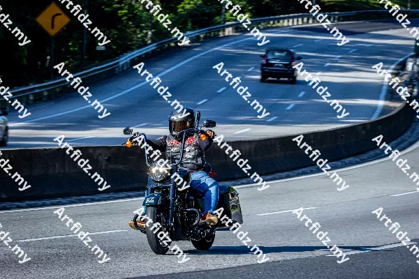 IMG_1779-4