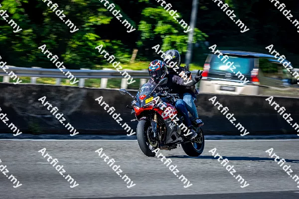 IMG_2229-4