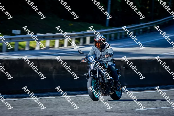IMG_2375-4