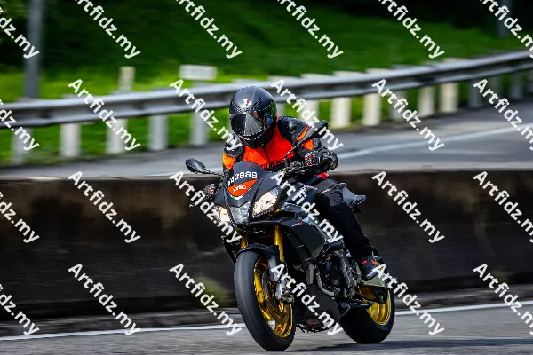 IMG_2409-2