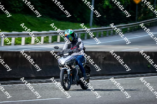 IMG_2618-1