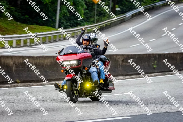 IMG_2654-3