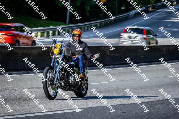 IMG_2664-6