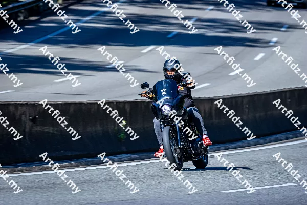 IMG_3454-4