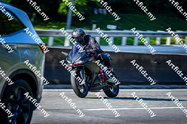 IMG_2204-1