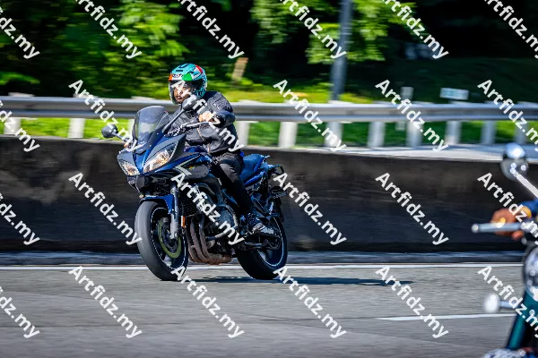 IMG_3910-1