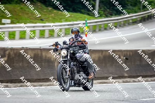 IMG_4186-1
