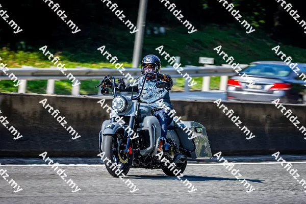IMG_3294-6