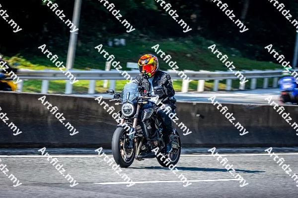 IMG_3478-1