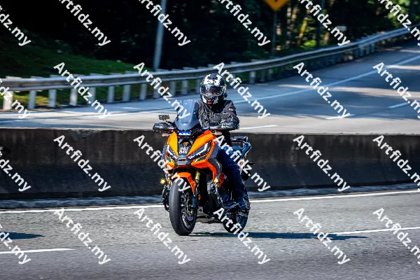 IMG_3504-2
