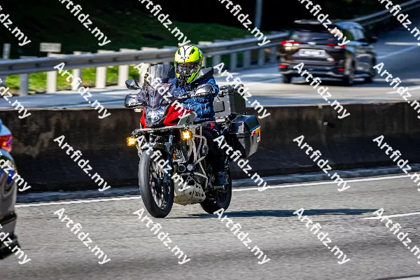 IMG_4260-2