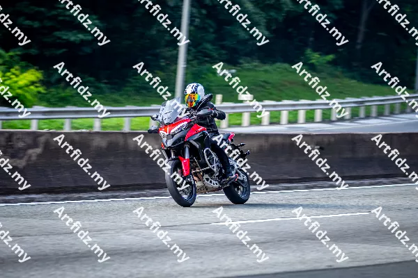 IMG_1984-4