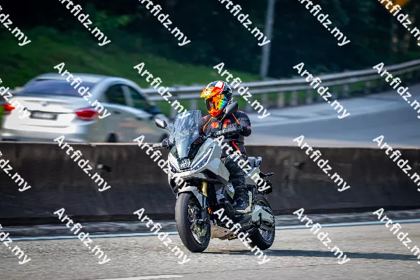 IMG_2494-1