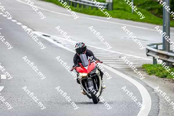 IMG_2731-1