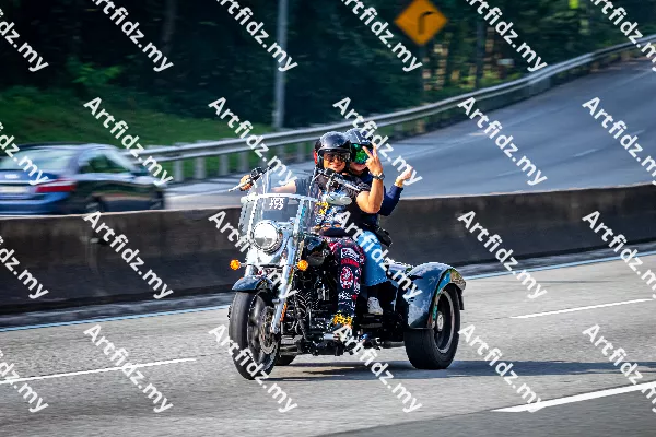 IMG_2764-3