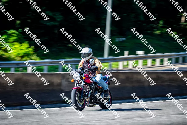 IMG_2917-3