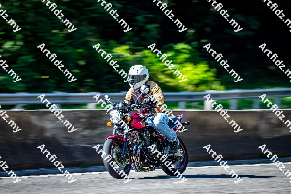 IMG_2918-3