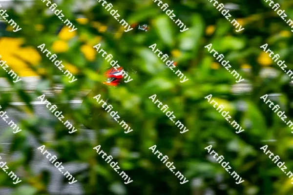 IMG_0709-2