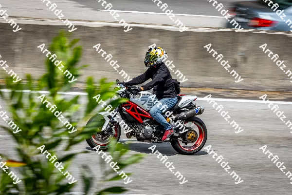 IMG_0862-1