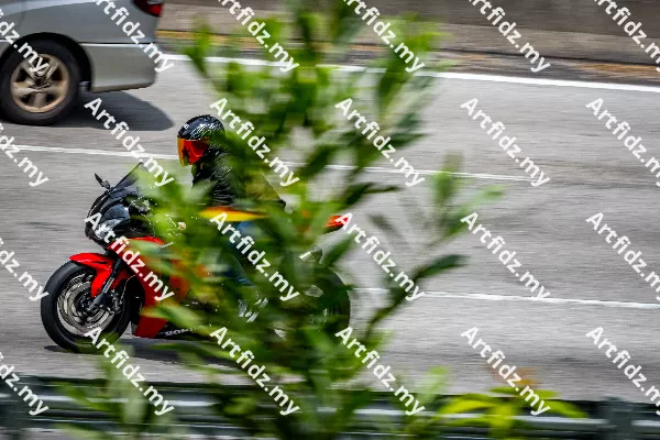IMG_2035-1