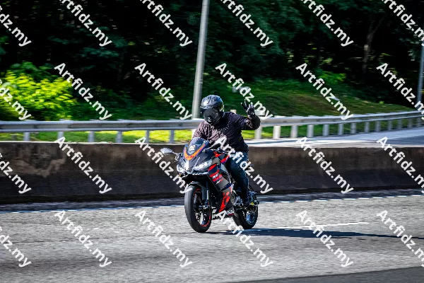 IMG_3101-1