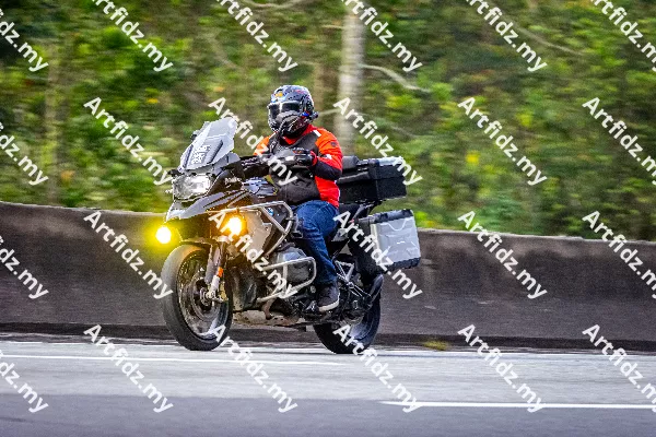 IMG_0443